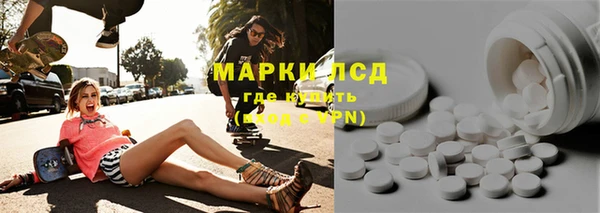 ГАЛЛЮЦИНОГЕННЫЕ ГРИБЫ Богданович