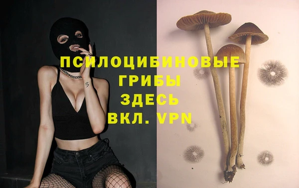 прущие крисы Богородицк