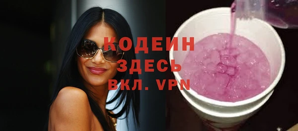 ГАЛЛЮЦИНОГЕННЫЕ ГРИБЫ Богданович