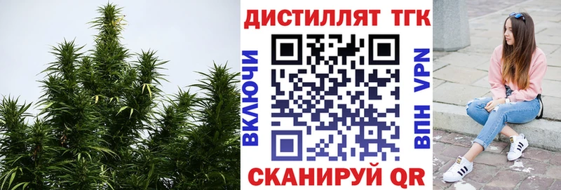 Дистиллят ТГК концентрат  Белозерск 